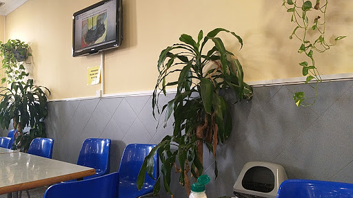 17283 comedor campus macarena facultad de medicina