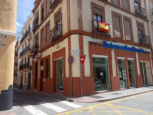 17342 comidas magui 1