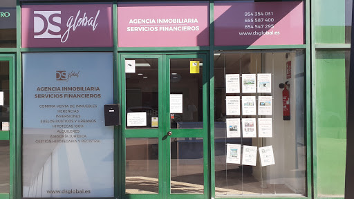 18300 dsglobal inmobiliaria