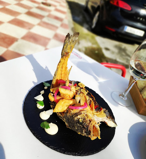 19008 el perro canalla