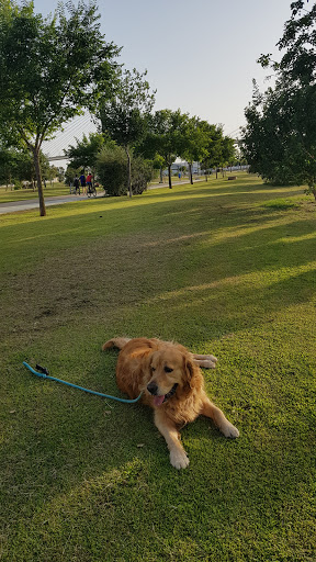 19056 el podenco park 1