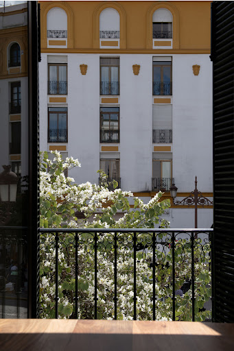 19401 elephant real estate room sevilla