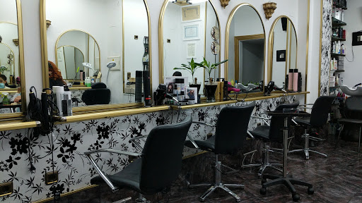 19434 elite peluqueros 2