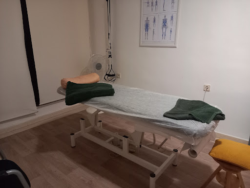 19535 energia fisioterapia y masajes