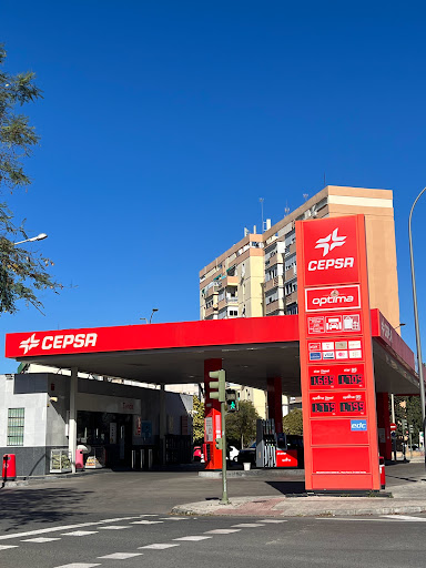 19830 estacion de servicios cepsa efeso