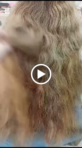 19912 estilo3.1 peluqueria y estetica 1