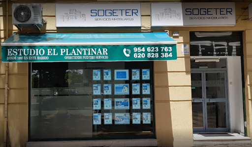 19929 estudio el plantinar