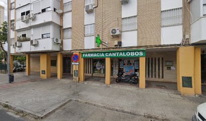 20313 farmacia cantalobos 1