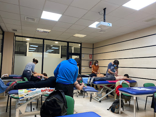 21194 fisiofocus sevilla