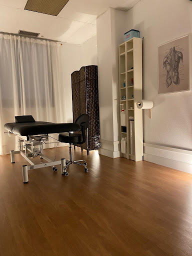 21248 fisioterapia german santos