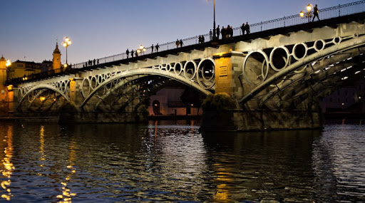 21293 fisioterapia triana