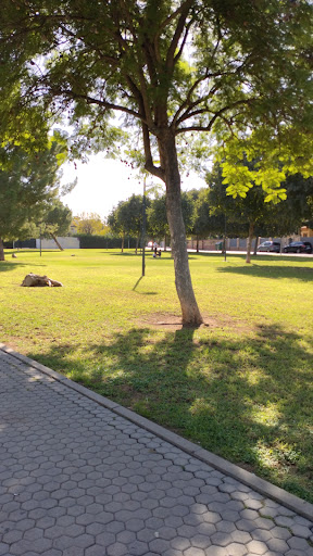 21618 fuerte de navidad park