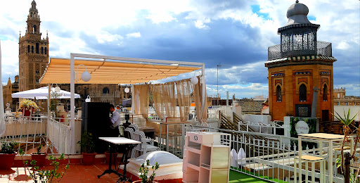 21787 gastroterraza la fortissima 2
