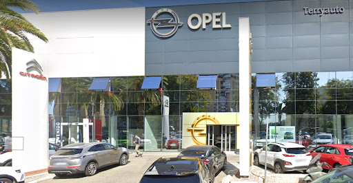 22233 grupo terry automocion