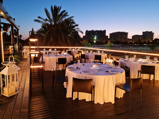 23244 iguana terraza