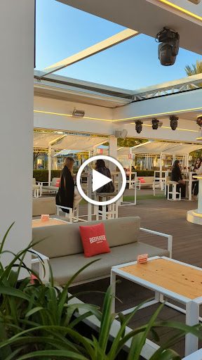 23247 iguana terraza 1