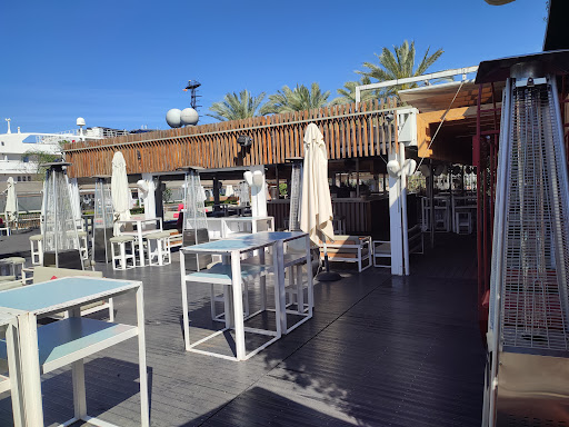 23247 iguana terraza 2