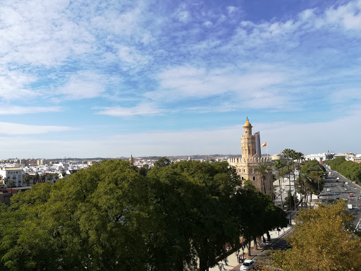 23677 inn offices torre del oro