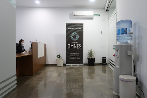 23730 instituto omnes