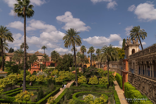 23943 jardines alcazares 2