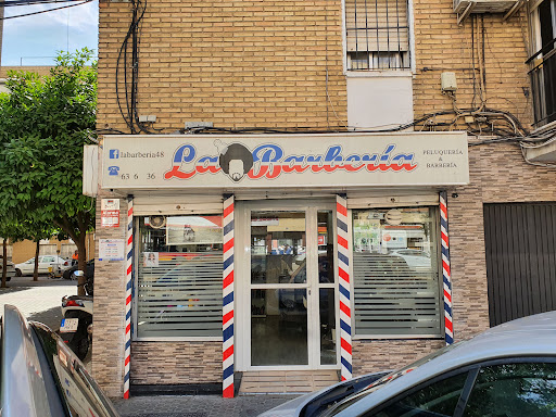 24226 junior peluqueria masculina 2