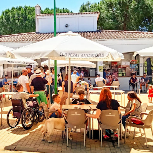 24491 kiosco el naranjal 2