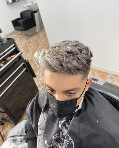 24852 la barbiere miguel guisado caballeros y ninos 2