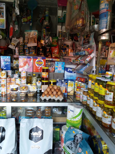 24905 la blanca paloma 1