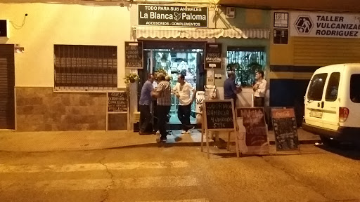 24905 la blanca paloma