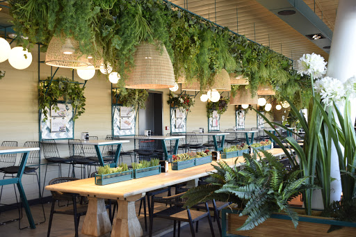 25294 la cueva de 1900 sevilla lagoh 2