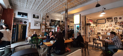 25473 la gata en bicicleta 2