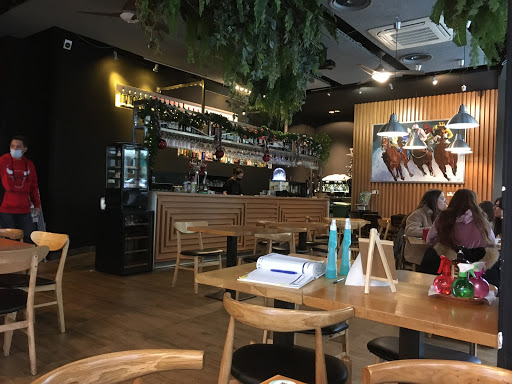 25506 la gorda de las setas