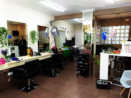 25804 la peluqueria de ramon