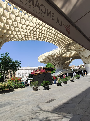 26015 la taberna la encarnacion