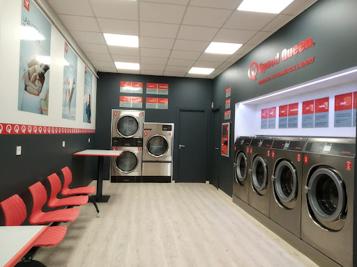 26372 lavanderia speed queen