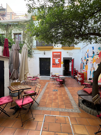 26445 libros y cafe 2