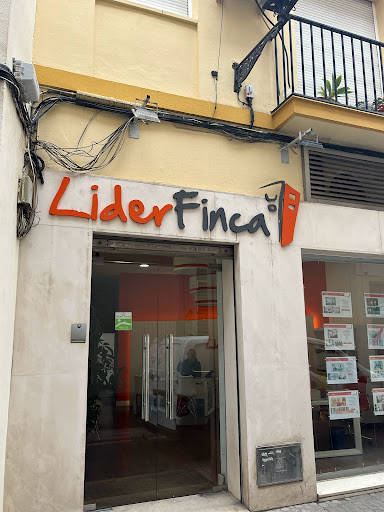 26448 liderfinca hogares