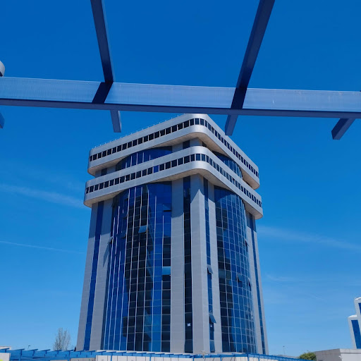 26781 lucasviedma real state