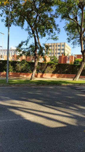 26801 luis fuentes bejarano parking