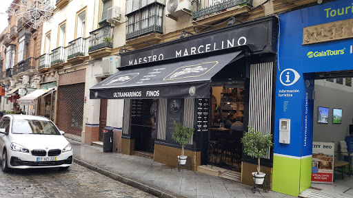 26936 maestro marcelino