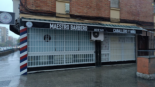 26939 maestro peluquero