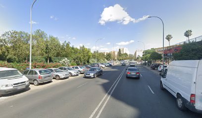 27274 maria dolores santos siles 1