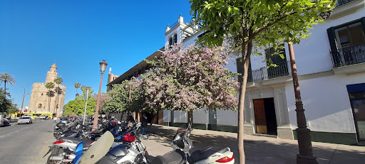 27420 marta lopez giral. realtor elefhant real estate. room sevilla