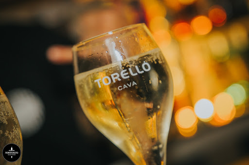 28340 montecristo barista barman 1