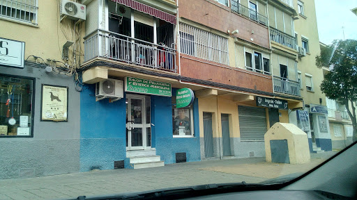 28392 moreno peluqueros 2