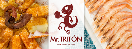 28533 mr. triton. freiduria