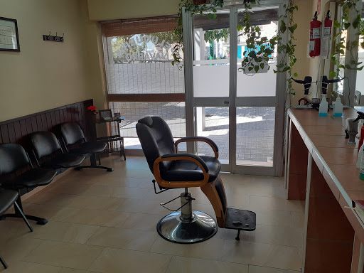 28771 navarro feria jose maria peluqueria navarro 2