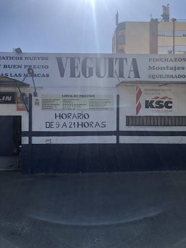 28869 neumaticos veguita