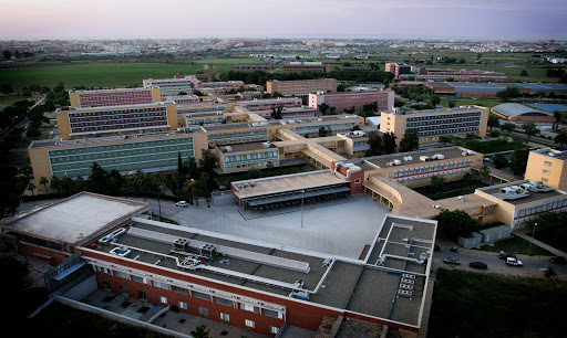29502 pablo de olavide university sevilla