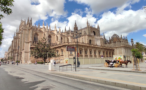 29726 parada bus discrecional